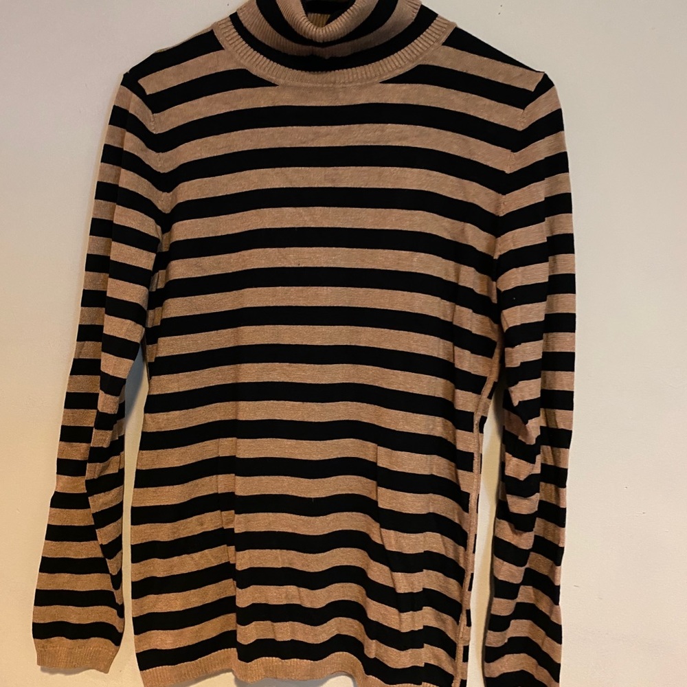 The Limited Turtleneck